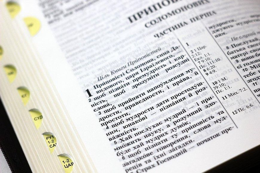 Біблія велика І.Огієнко 075 zti зам. шкіри, розмір 17 х 25 см, Коричнева (арт. 1017604) 1017604 фото