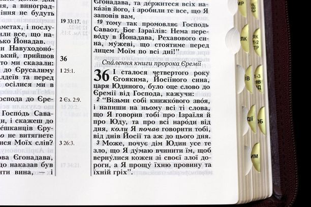 Біблія середня 047 zti шкіра, розмір 13.5 х 18.5 см, переклад Огієнко (арт. 1014903) Бордова 1014903 фото