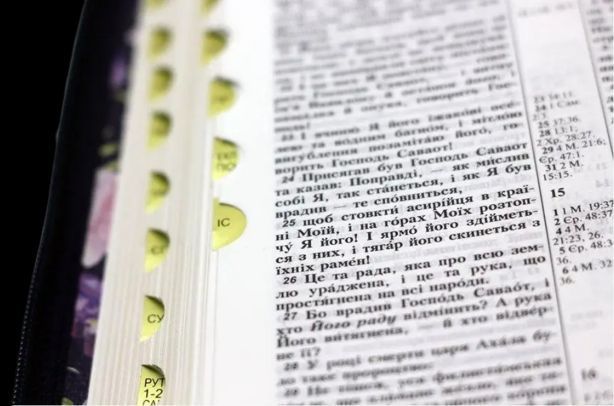 Біблія переклад Огієнко середня 055 zti шкір.зам, розмір 14.5 х 20.5 см., світлі троянди (арт. 1015651) 1015651 фото